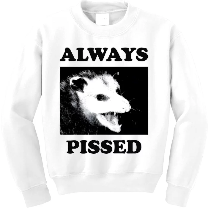 Opossum Opossum Always Pissed Kids Sweatshirt