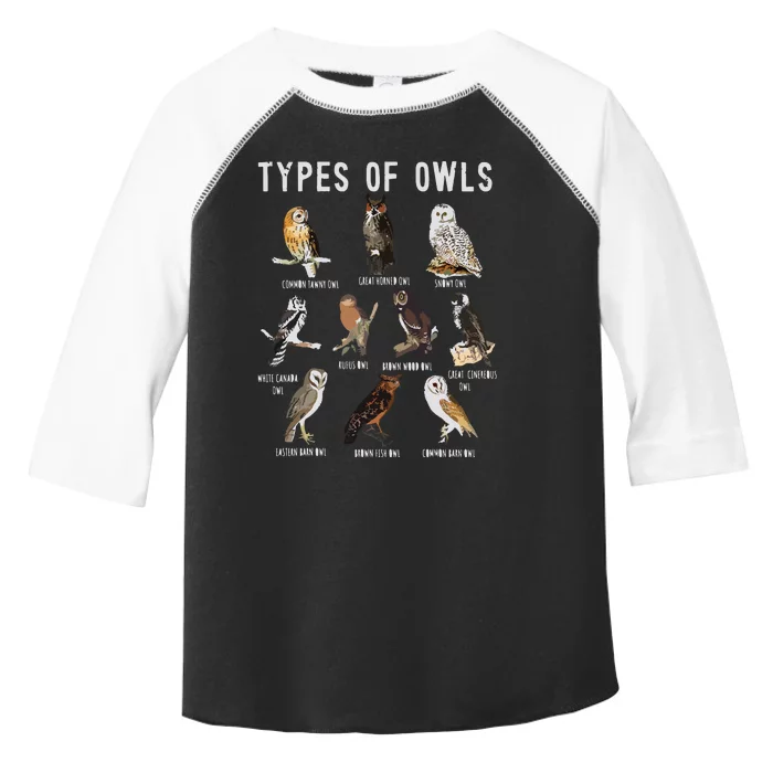 Owl Owl Owl Lover Tee Owl Gift Owl Toddler Fine Jersey T-Shirt