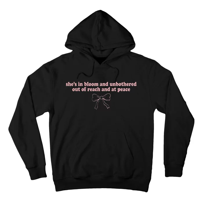 Out Of Reach And At Peace Hoodie