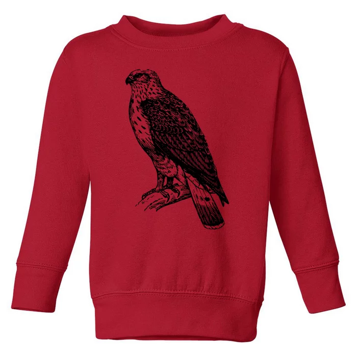 Ornithology Toddler Sweatshirt