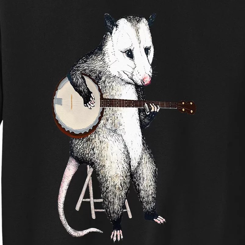 Opossum Playing Banjo Guitar Possum Live Weird Trash Kitty Sweatshirt