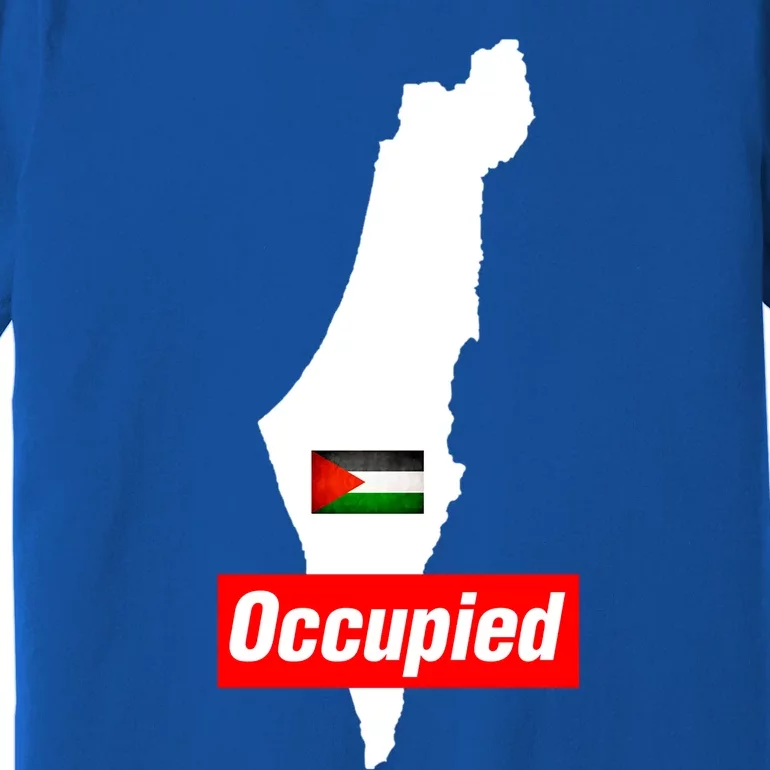 Occupied Palestine Free Gaza Funny Gift Premium T-Shirt