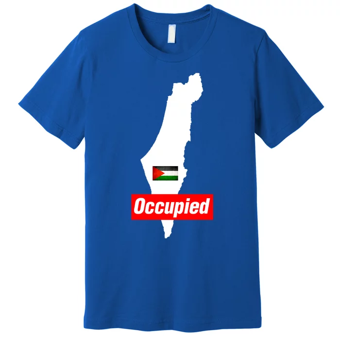 Occupied Palestine Free Gaza Funny Gift Premium T-Shirt