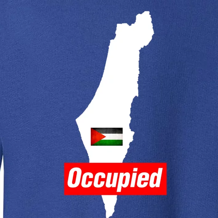 Occupied Palestine Free Gaza Funny Gift Toddler Sweatshirt