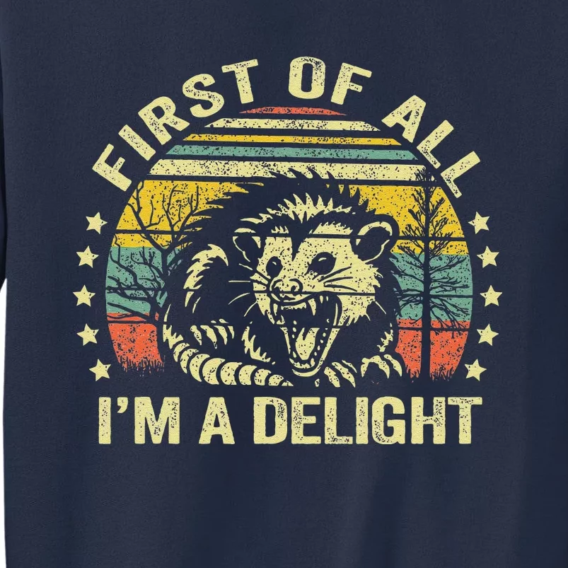 Opossum Possum First Of All IM A Delight Sarcastic Angry Sweatshirt