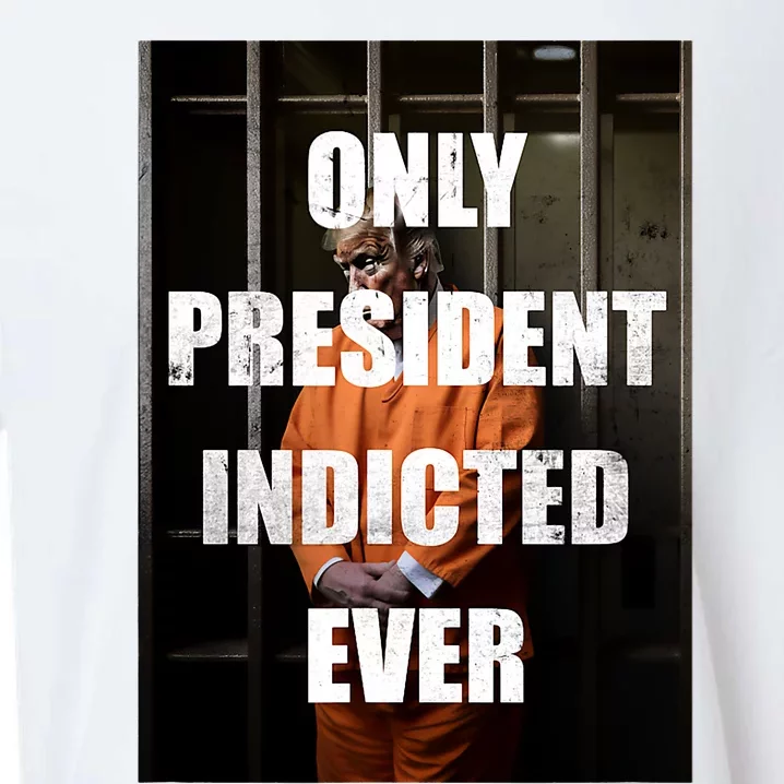 Only President Indicted Ever Sueded Cloud Jersey T-Shirt