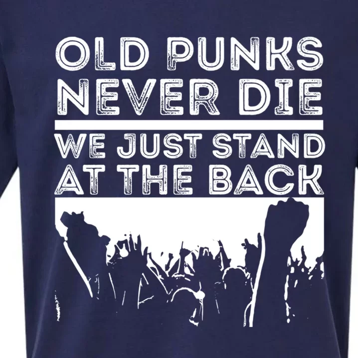 Old Punks Never Die We Just Stand At In The Back Rock Metal Gift Sueded Cloud Jersey T-Shirt