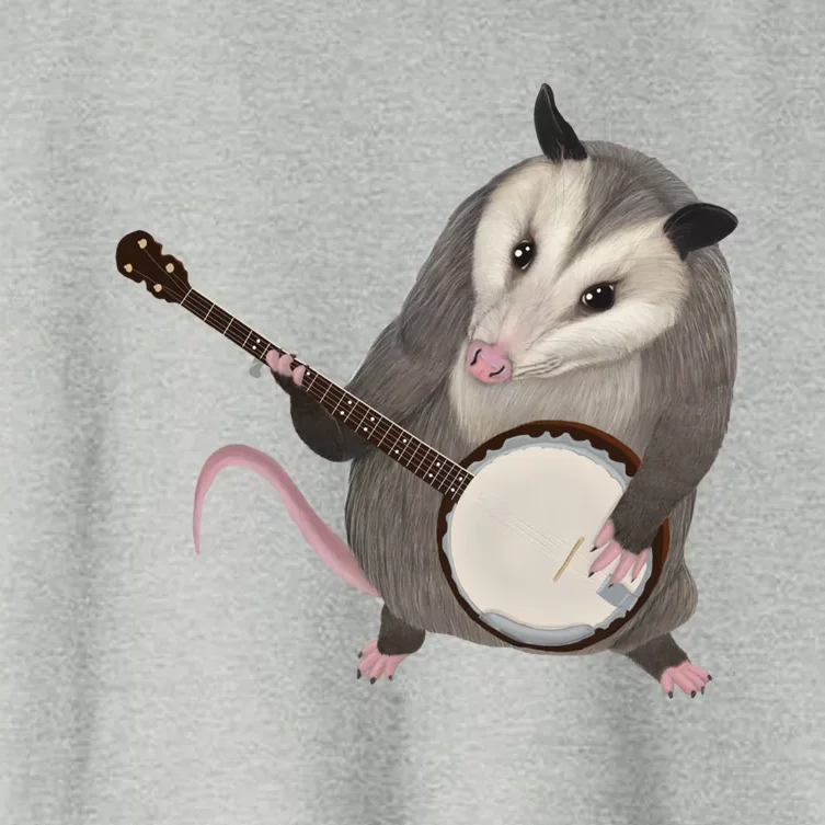 Opossum Playing The Banjo Gift Possum Gift Women's Crop Top Tee