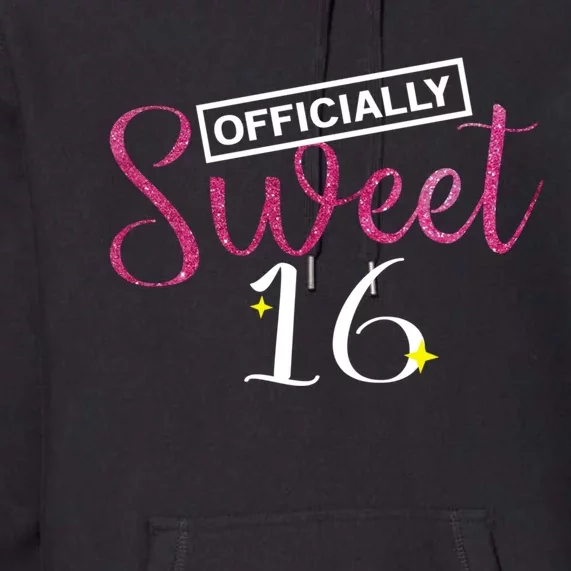 Officially Sweet 16 | Sixteenth Birthday Teen Girl Gift Premium Hoodie