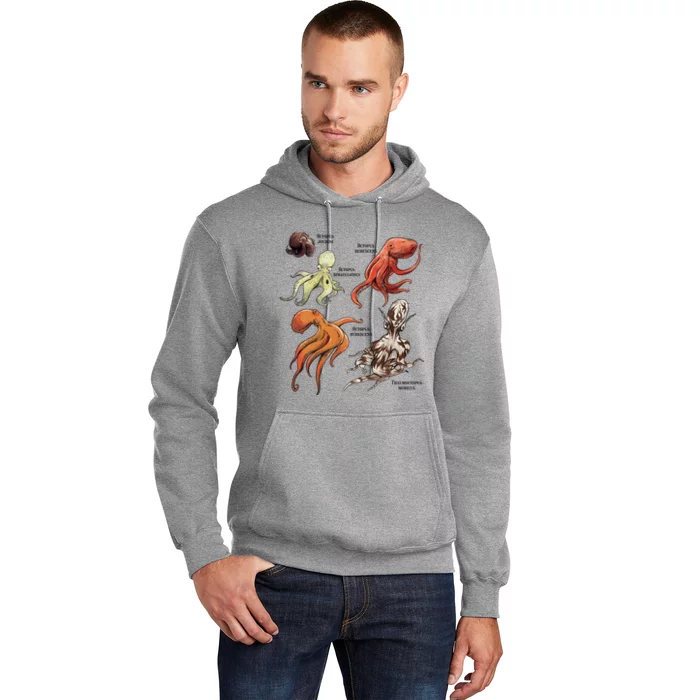 Octopus Sea Animals Species Hoodie