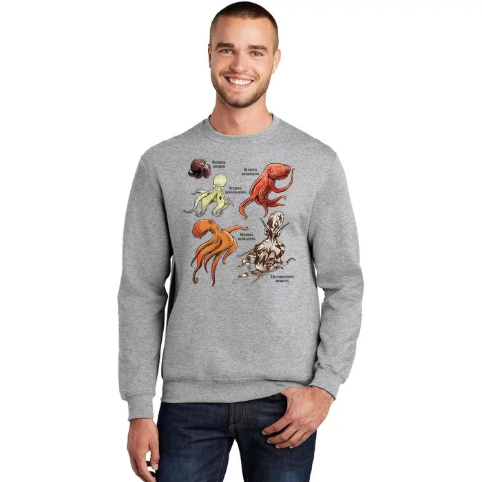 Octopus Sea Animals Species Sweatshirt