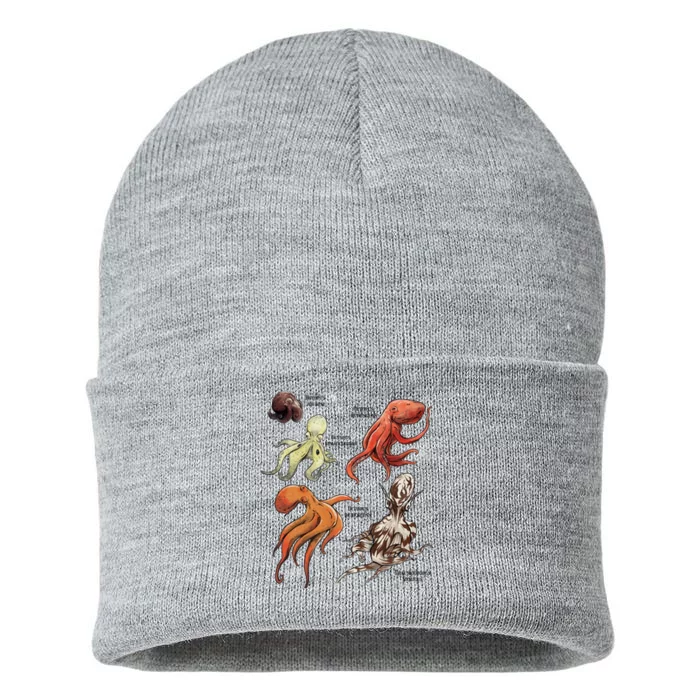 Octopus Sea Animals Species Sustainable Knit Beanie