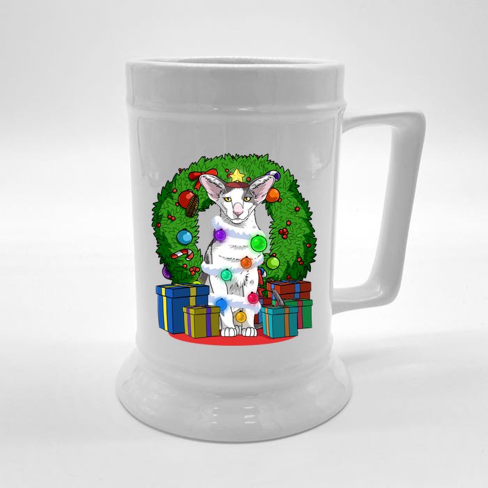 Oriental Shorthair Cat Christmas Tree Xmas Santa Gift Front & Back Beer Stein