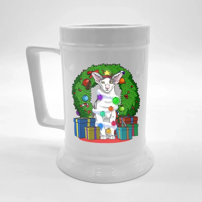 Oriental Shorthair Cat Christmas Tree Xmas Santa Gift Front & Back Beer Stein