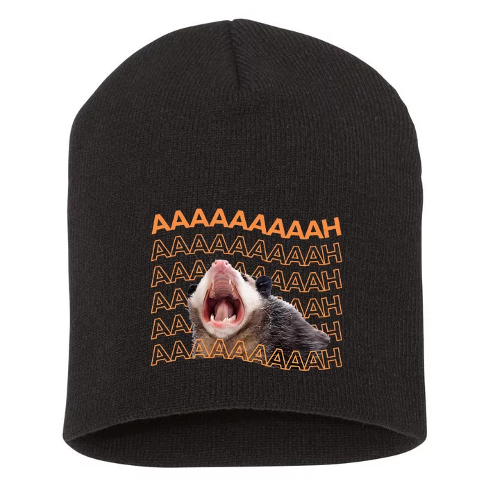 Opossum Screaming Funny Possum Trash Cat Meme Short Acrylic Beanie