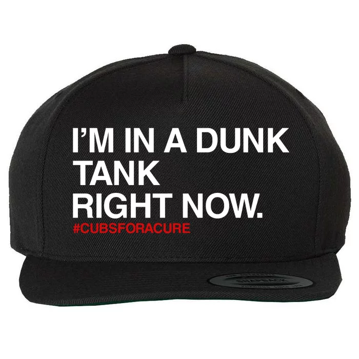 Obvious S IM In A Dunk Tank Right Now #Cubsforacure Wool Snapback Cap