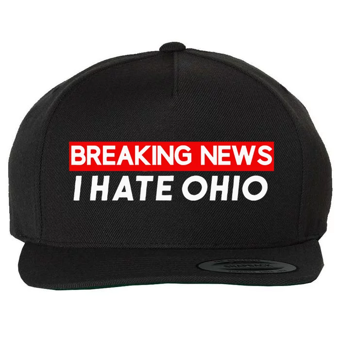 Ohio Sucks Wool Snapback Cap