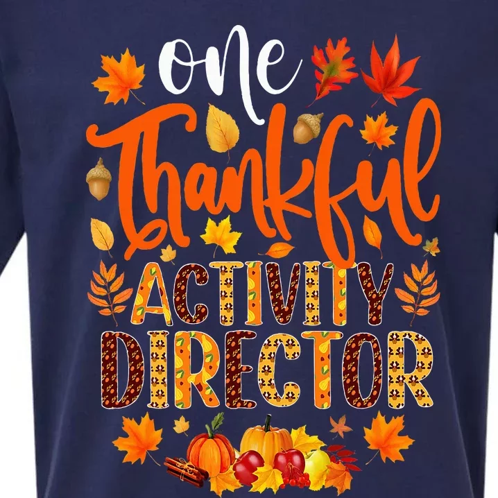 One Thankful Activity Director Funny Thanksgiving Sueded Cloud Jersey T-Shirt