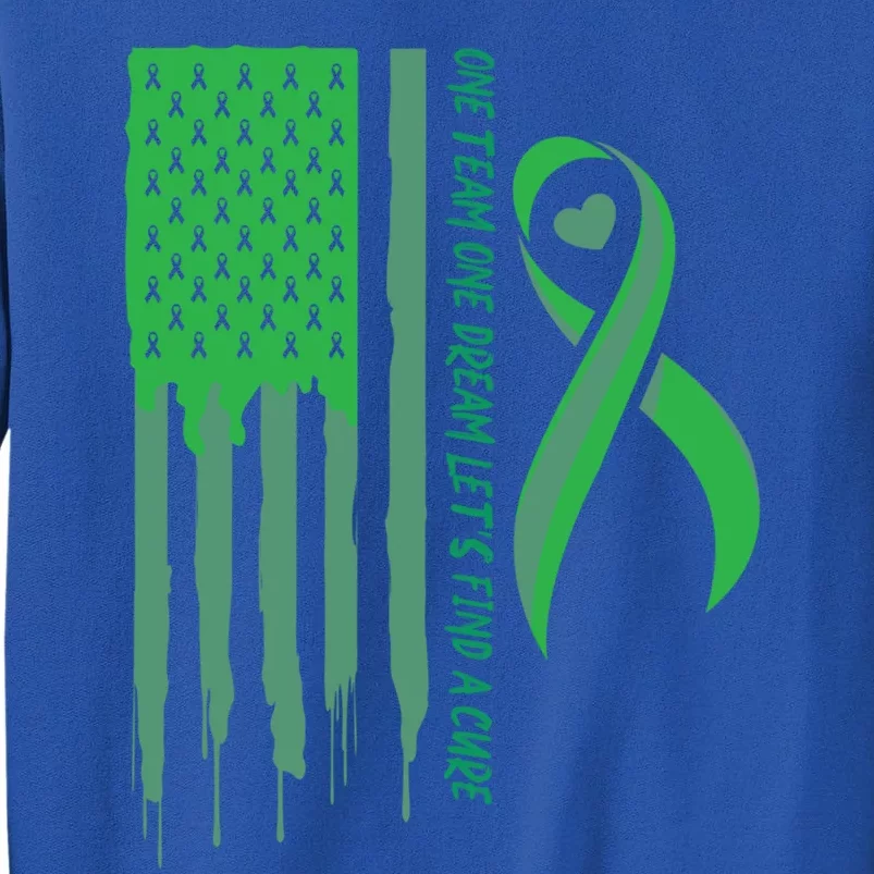 One Team One Dream Lets Find A Cure I Usa Green Flag Gift Sweatshirt