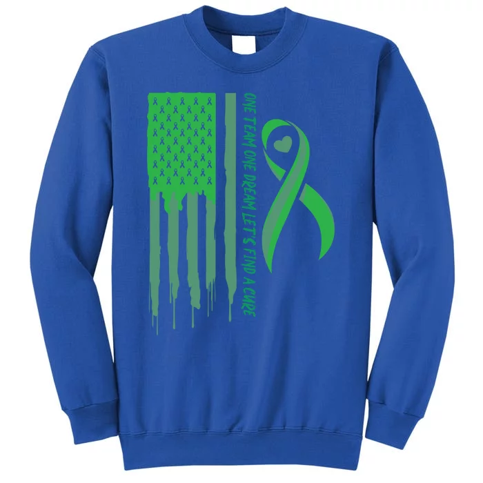 One Team One Dream Lets Find A Cure I Usa Green Flag Gift Sweatshirt