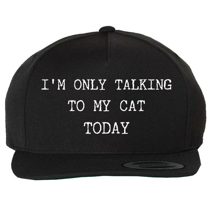 Only Talking To My Cat Today Sarcastic Mood Women Tired Mom Wool Snapback Cap