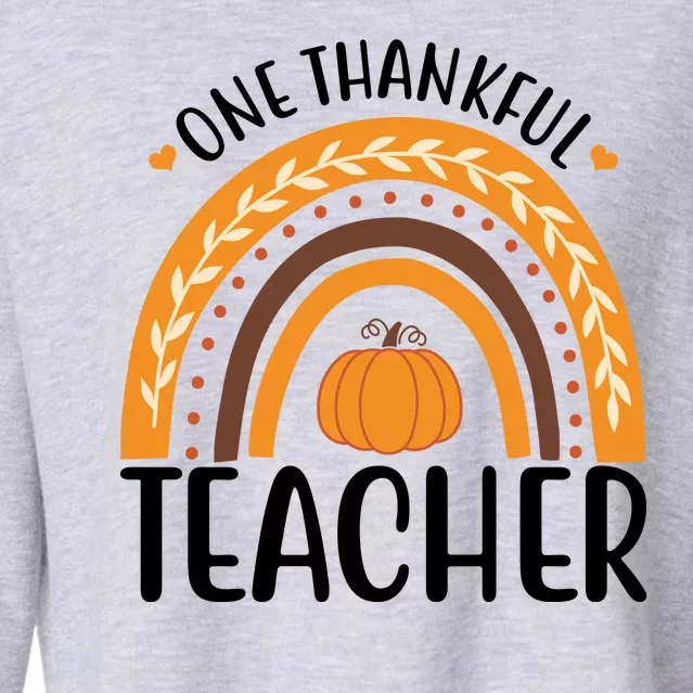 One Thankful Teacher Rainbow Pumpkin Thanksgiving Cropped Pullover Crew