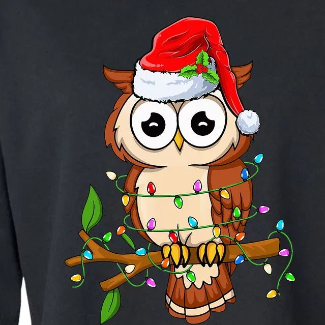 Owl Wearing Santa Hat Xmas Birds Owl Lover Christmas Cropped Pullover Crew