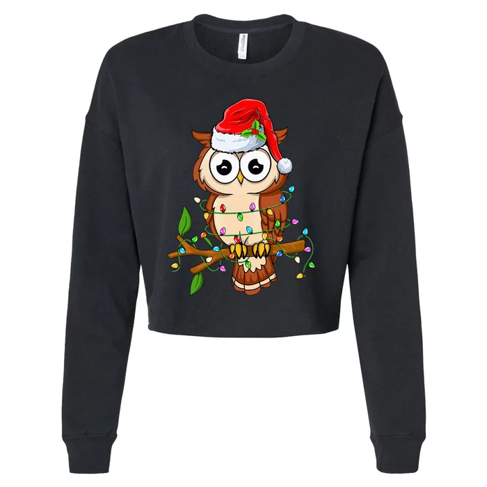 Owl Wearing Santa Hat Xmas Birds Owl Lover Christmas Cropped Pullover Crew