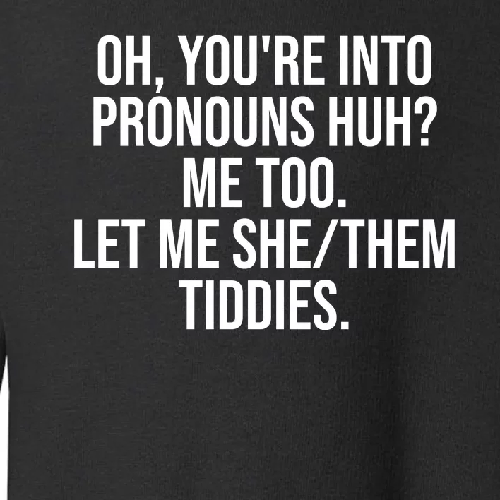 Oh Youre Into Pronouns Huh Me Too Let Me She Them Tiddies Funny Toddler Sweatshirt