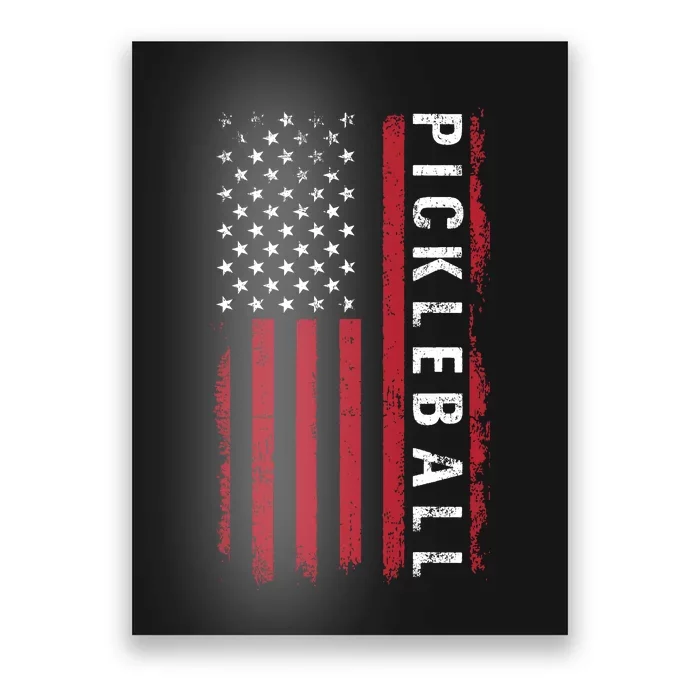 Pickleball 4th Of July Poster