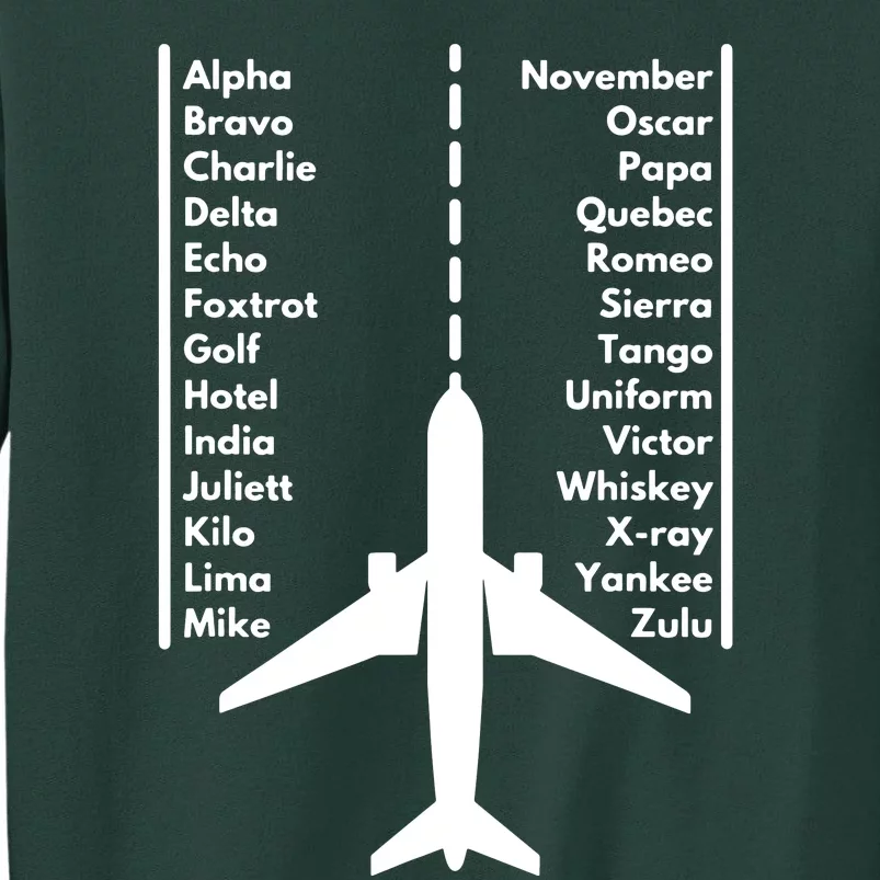 Pilot & Aviation Airplane Sweatshirt