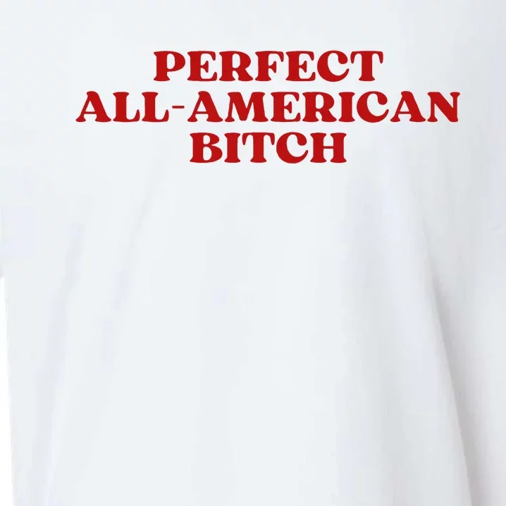 Perfect All American Bitch Aesthetic Sueded Cloud Jersey T-Shirt