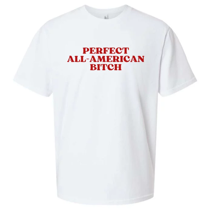 Perfect All American Bitch Aesthetic Sueded Cloud Jersey T-Shirt