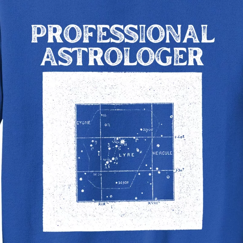 Professional Astrologer Astrology Funny Gift Tall Sweatshirt