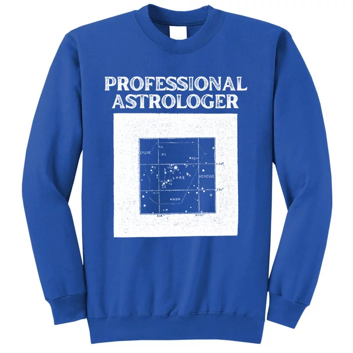 Professional Astrologer Astrology Funny Gift Tall Sweatshirt