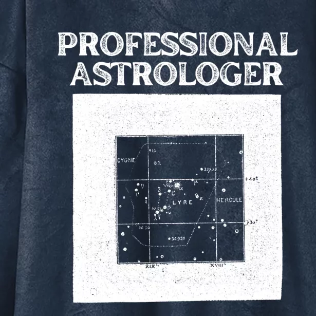 Professional Astrologer Astrology Funny Gift Hooded Wearable Blanket