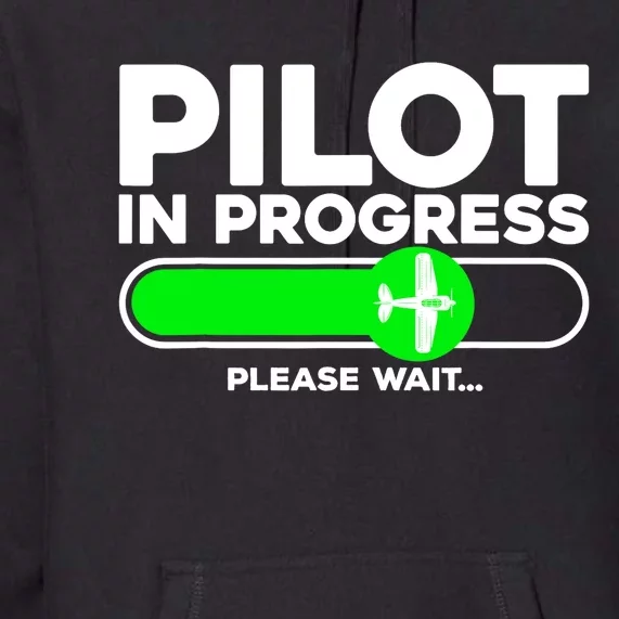 Pilot Art Airline Future Pilot Aviation Airplane Premium Hoodie