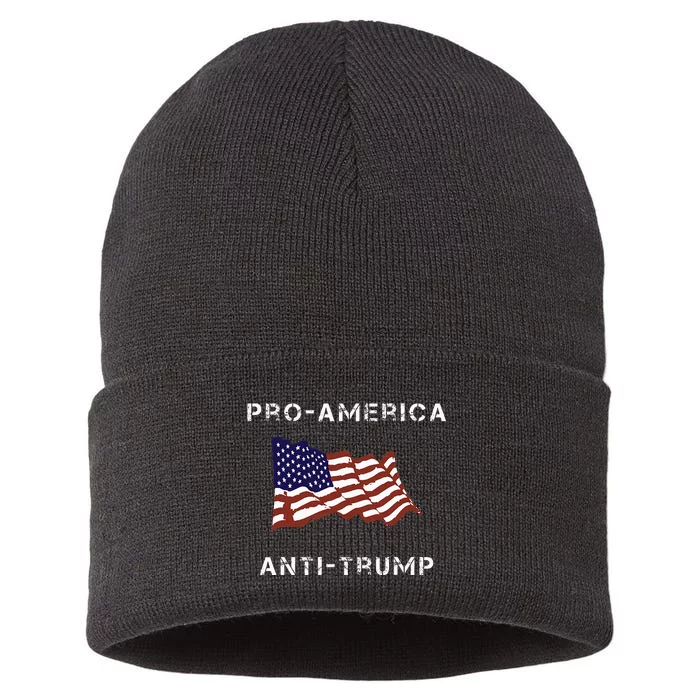 Proamerica Antitrump American Usa Flag Sustainable Knit Beanie