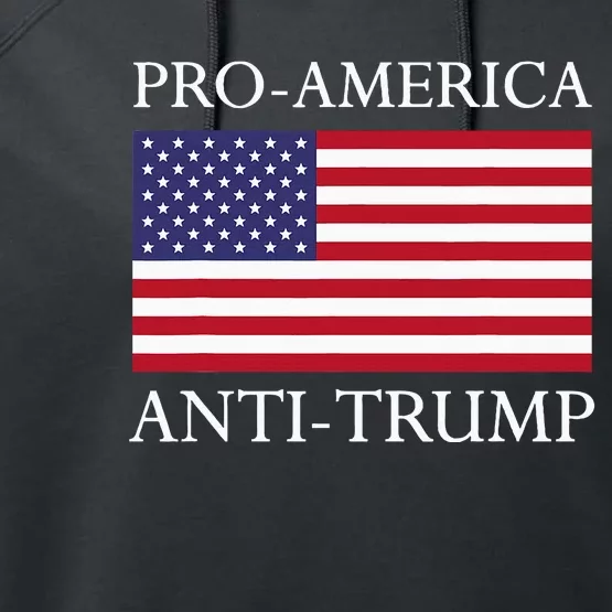 Proamerica Antitrump American Usa Flag Resist Performance Fleece Hoodie