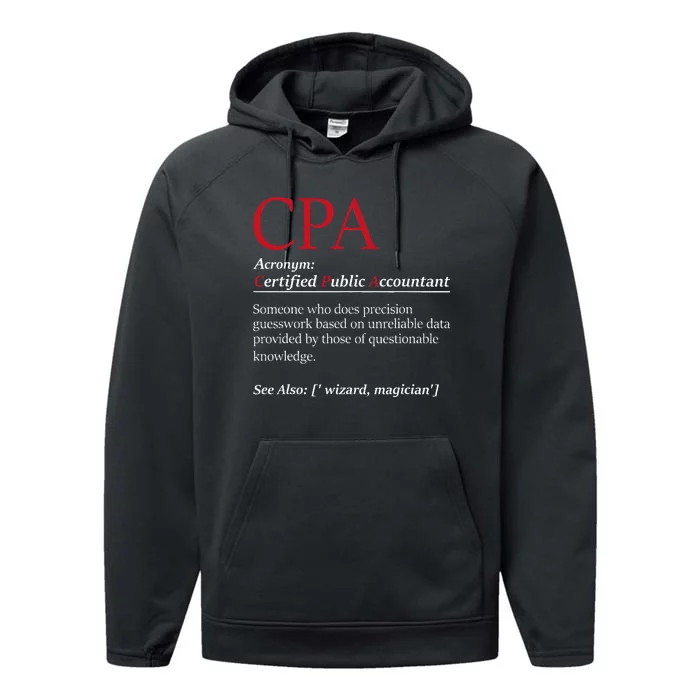 Public Accountant Bookkeeper Tax Auditor Financial Analyst Performance Fleece Hoodie