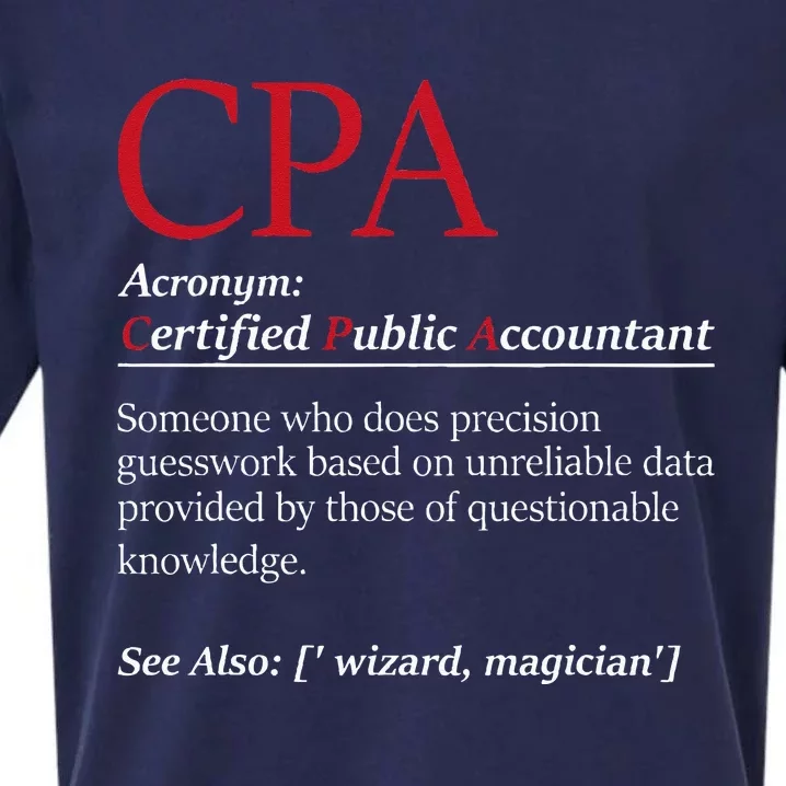 Public Accountant Bookkeeper Tax Auditor Financial Analyst Sueded Cloud Jersey T-Shirt