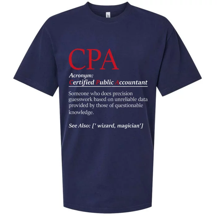 Public Accountant Bookkeeper Tax Auditor Financial Analyst Sueded Cloud Jersey T-Shirt