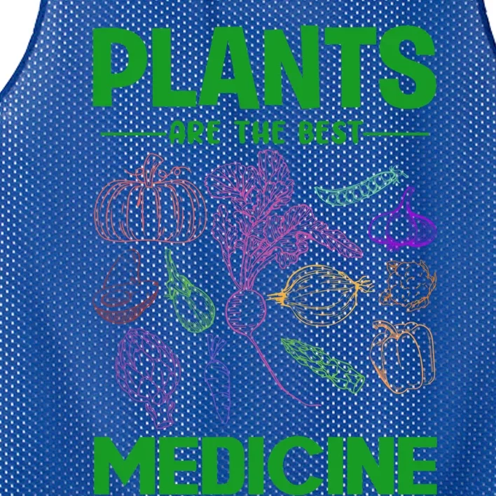 Plants Are Best Medicine Vegetarian Vegan Day Vegetables Gift Mesh Reversible Basketball Jersey Tank