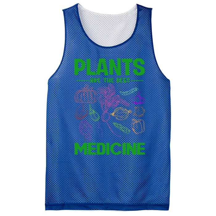 Plants Are Best Medicine Vegetarian Vegan Day Vegetables Gift Mesh Reversible Basketball Jersey Tank