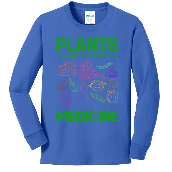 Plants Are Best Medicine Vegetarian Vegan Day Vegetables Gift Kids Long Sleeve Shirt