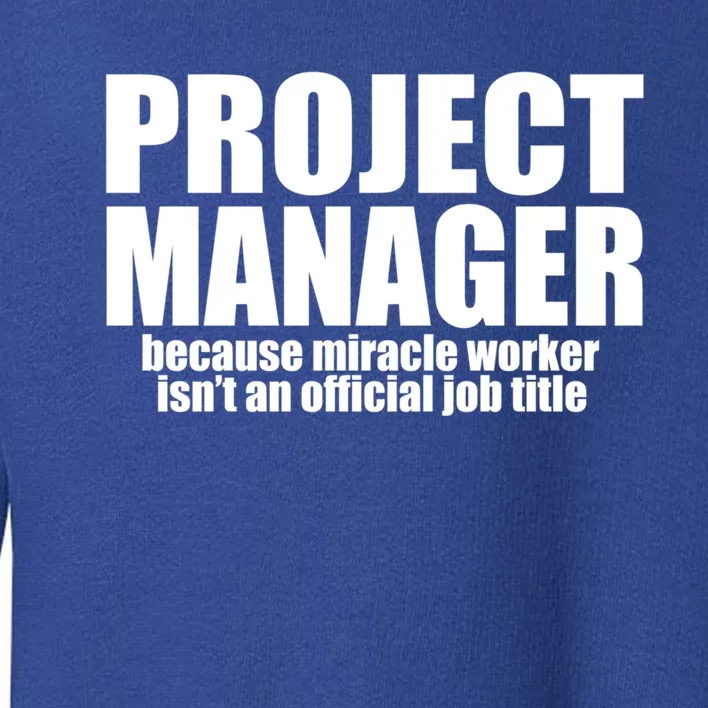 Project Ager Because Miracle Worker Isn't A Job Title Funny Gift Toddler Sweatshirt