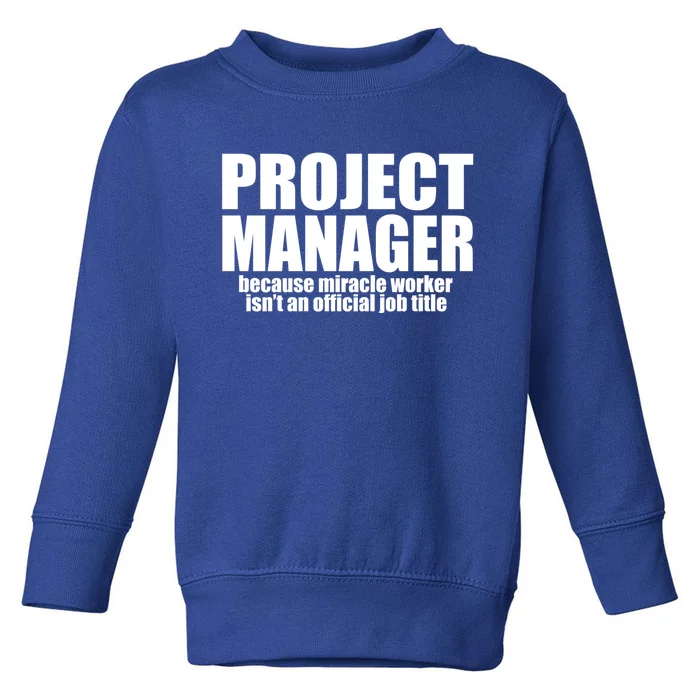 Project Ager Because Miracle Worker Isn't A Job Title Funny Gift Toddler Sweatshirt