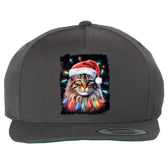 Pop Art Christmas Decoration Maine Coon Cat Gift Wool Snapback Cap