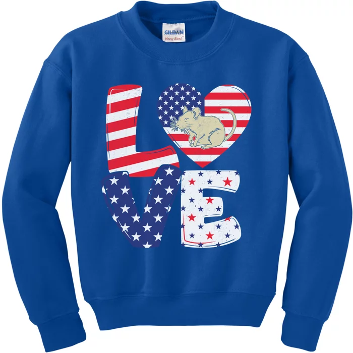 Patriotic American Flag Vintage Rat 4th Of July Gift Kids Sweatshirt