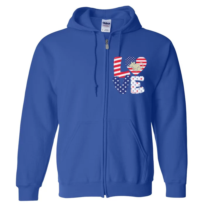 Patriotic American Flag Vintage Rat 4th Of July Gift Full Zip Hoodie